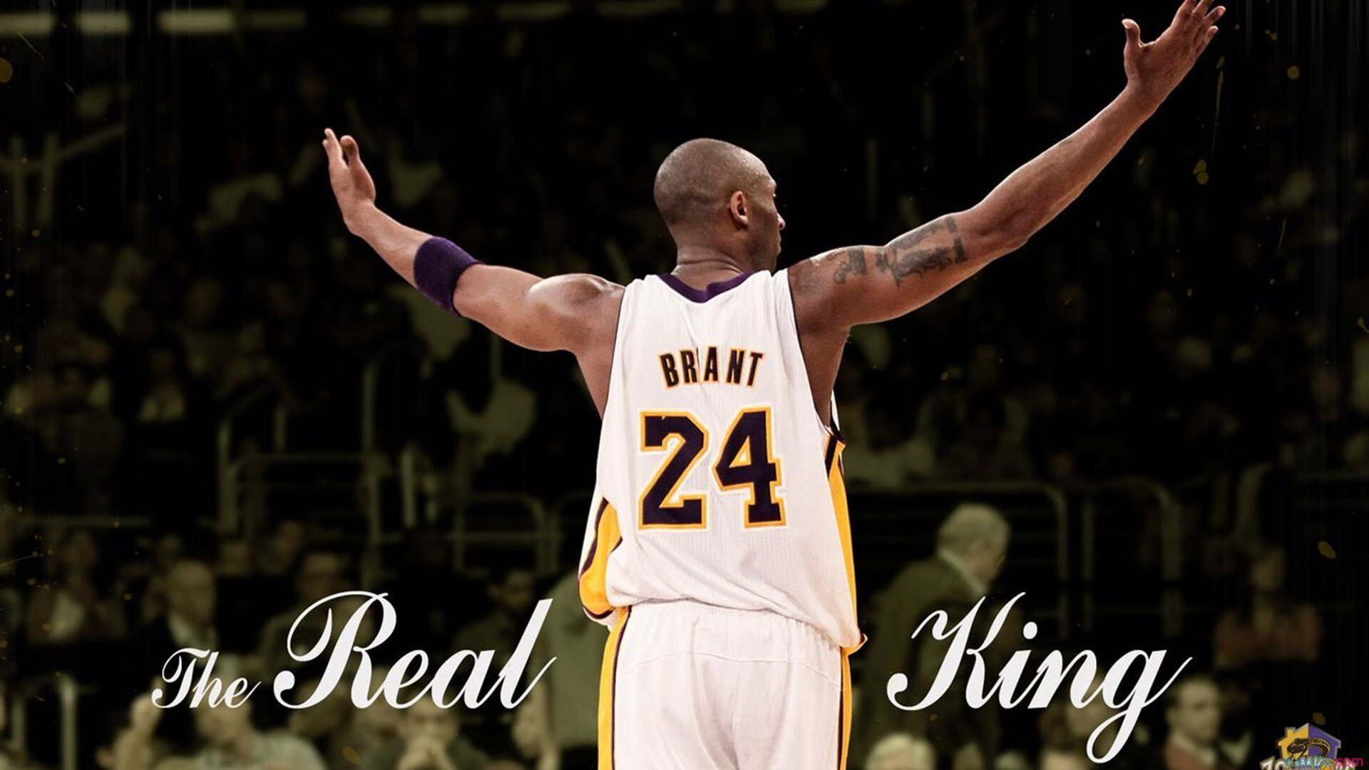 开云体育官网下载-_骑士新秀表现抢眼，展现大未来_，骑士队新秀